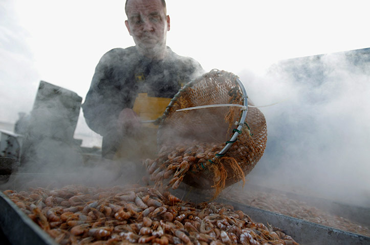 From The Agencies Furlong: Southport Shrimpers Out At The Beginning Of The Season
