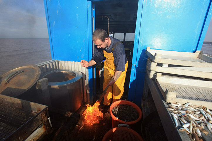 From The Agencies Furlong: Southport Shrimpers Out At The Beginning Of The Season