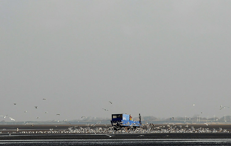From The Agencies Furlong: Southport Shrimpers Out At The Beginning Of The Season