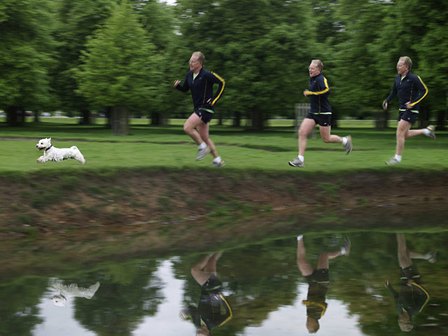 Dogs: Celebrity Photo Ehibition for Guide Dogs Mark Curry – Charlie