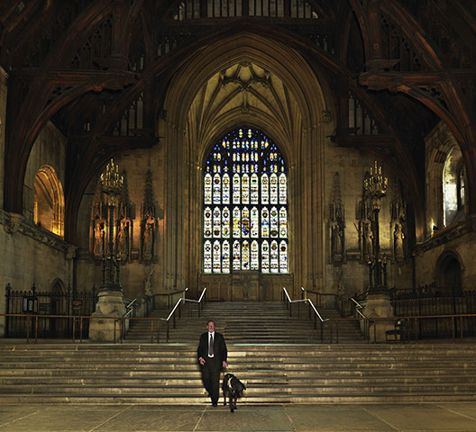 Dogs: Celebrity Photo Ehibition for Guide Dogs David Blunkett – Sadie