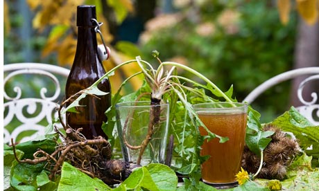 dandelion and burdock