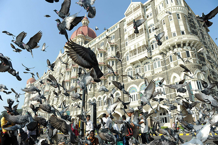 Obama Visit to Asia: Tourists feed pigeons on November 5, 201