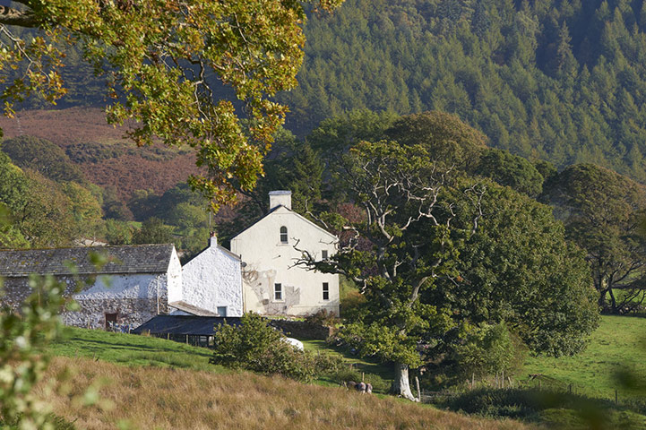 Wild Ennerdale forest: Joe Cornish, capturing the spirit and atmosphere