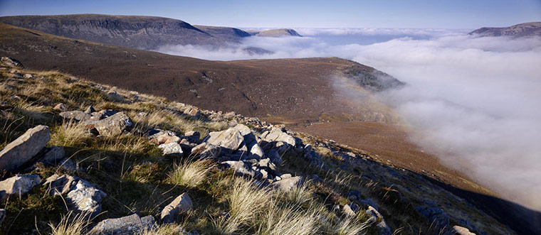 Wild Ennerdale forest: Joe Cornish, capturing the spirit and atmosphere