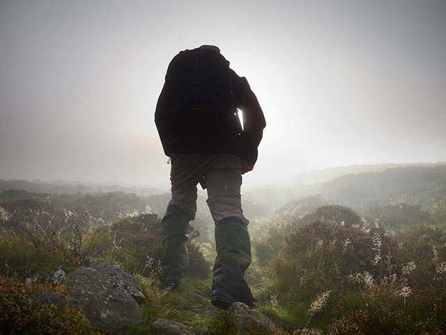 Wild Ennerdale forest: Joe Cornish, capturing the spirit and atmosphere
