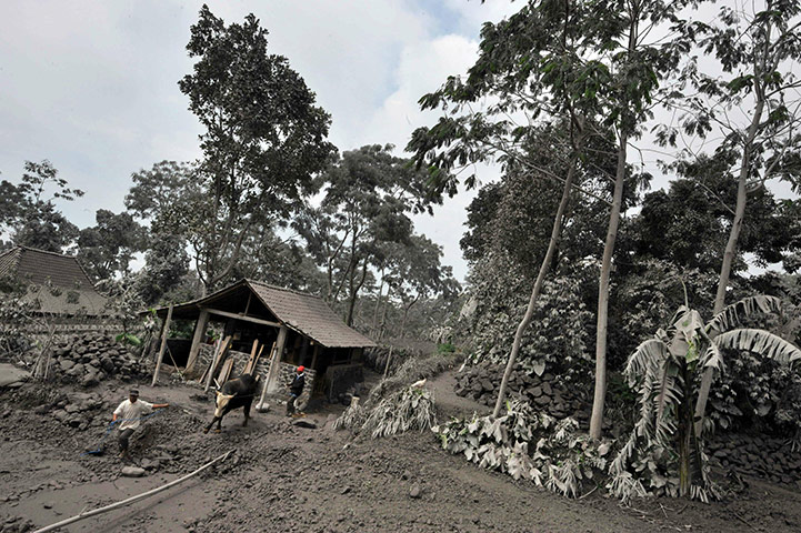 Mount Merapi Volcano: Mount Merapi Volcano
