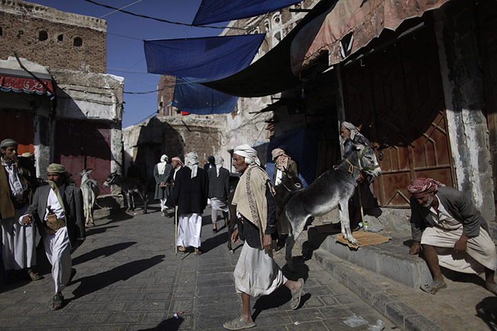 24 hours in pictures:  San'a, Yemen: Donkey traders