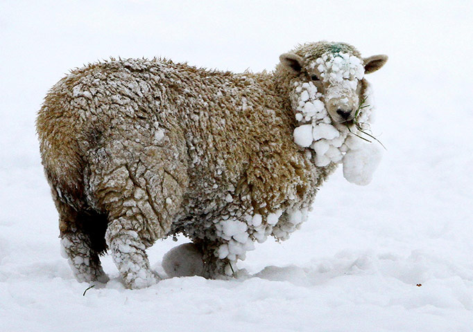 Snow today: Winter weather Dec 1st