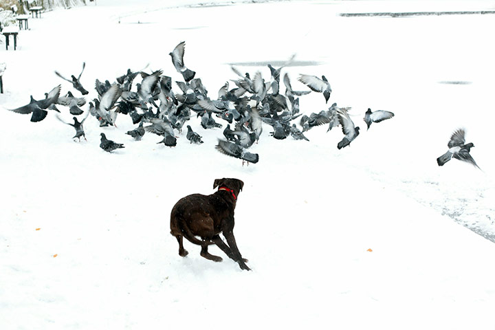 24 hours in pictures: A general view of a frozen over boating lake in Alexandra Palace