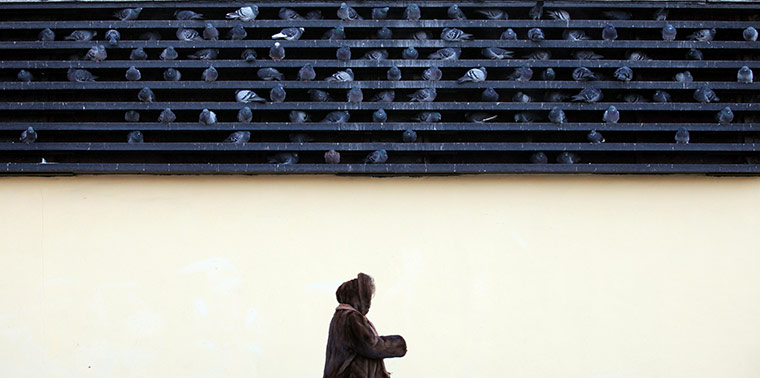 24 hours in pictures: A woman passes by pigeons on the grid of a subway ventilation system