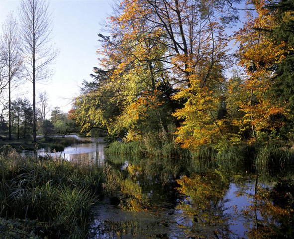 Ancient trees: Octagon Lake in Autumn at Stowe Landscape Gardens, Buckinghamshire
