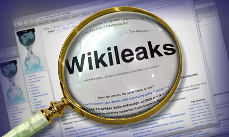 WikiLeaks under the magnifying glass