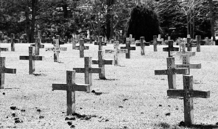 Guardian Camera Club: Guardian Camera Club: Alex Schlacher's portfolio