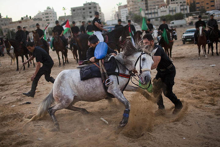 24 hours in pictures: Gaza city: Hamas militants try to calm a horse during a rally