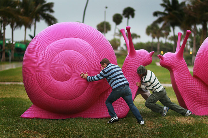 24 hours in pictures: Vandals Targeting Pink Snail Art Installations Throughout Miami