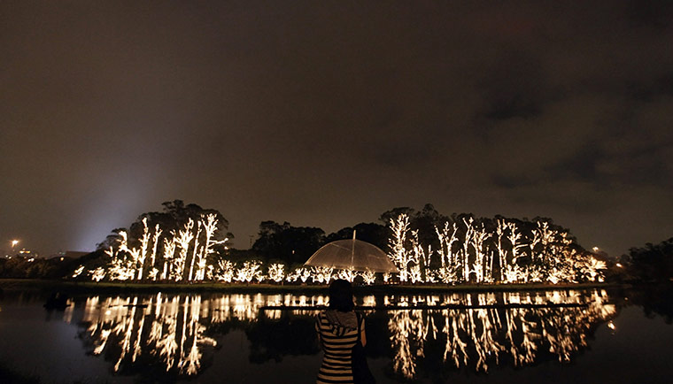 24 Hours in Pictures: A woman looks at trees decorated with Christmas lights at Ibirapuera Park