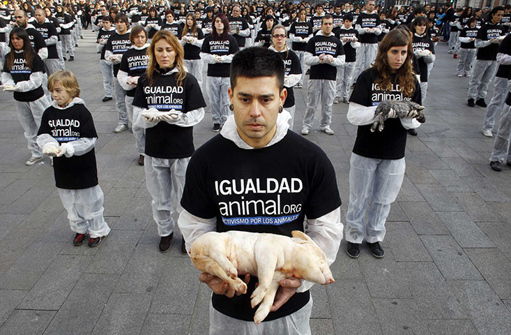 24 Hours in Pictures: Animal rights activists hold up some 200 animal carcasses