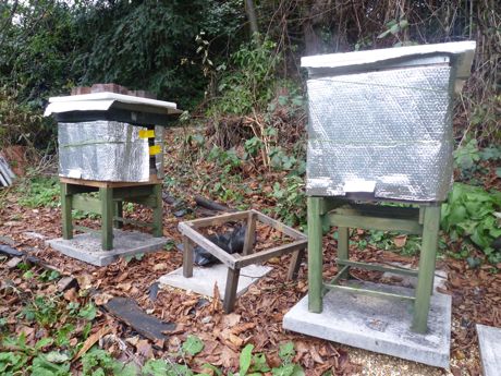 hives