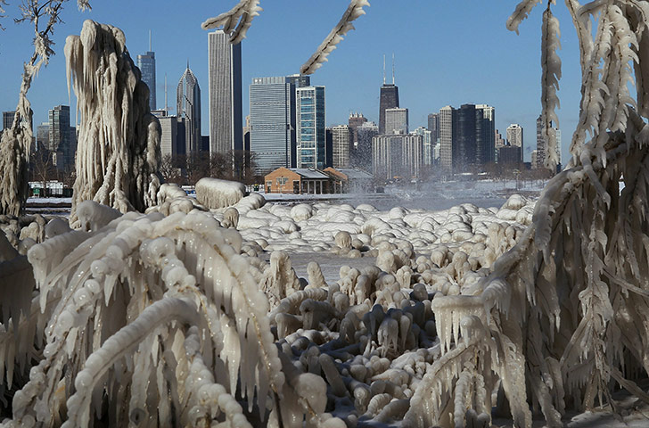 24 hours: Chicago, Ilinois, USA:  Ice clings to trees and grass along the lake front
