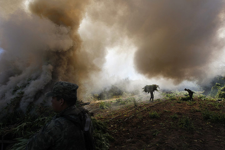 24 hours: Amata, Mexico: Soldiers carry bundles of marijuana towards a bonfire