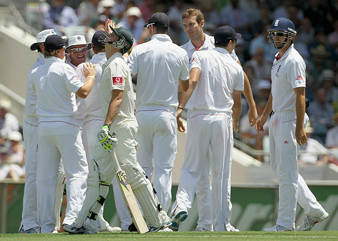 Ashes 2010: England celebrate the wicket of Steve Smith 