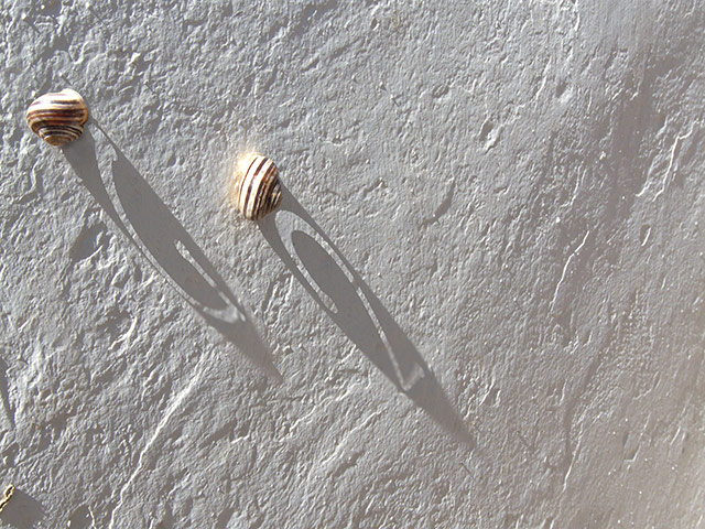 G2 calendar runners up: Doug Maplus