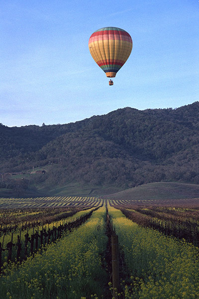 California Classics: Ballooning over Napa Valley