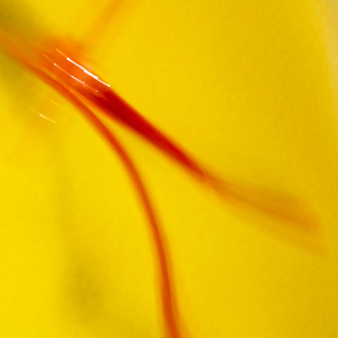 Camera Club: Gethin Thomas participates in the food assignment