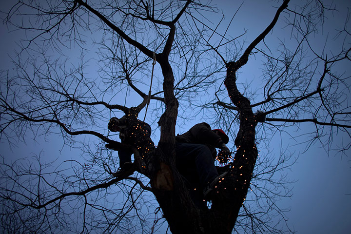 24 hours in pictures: Two Chinese workers install decoration lights on a tree