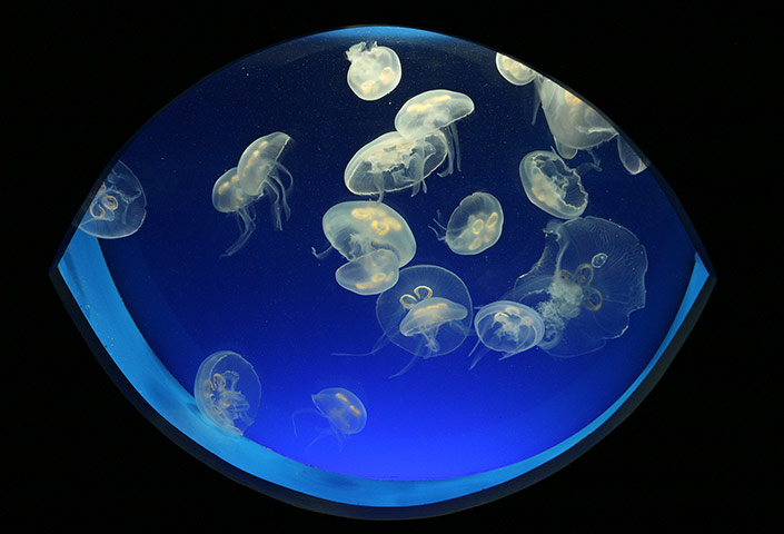 24 hours in pix: 24 hours in pix