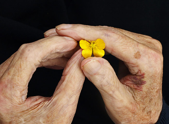 In pictures: touch: man holding a buttercup