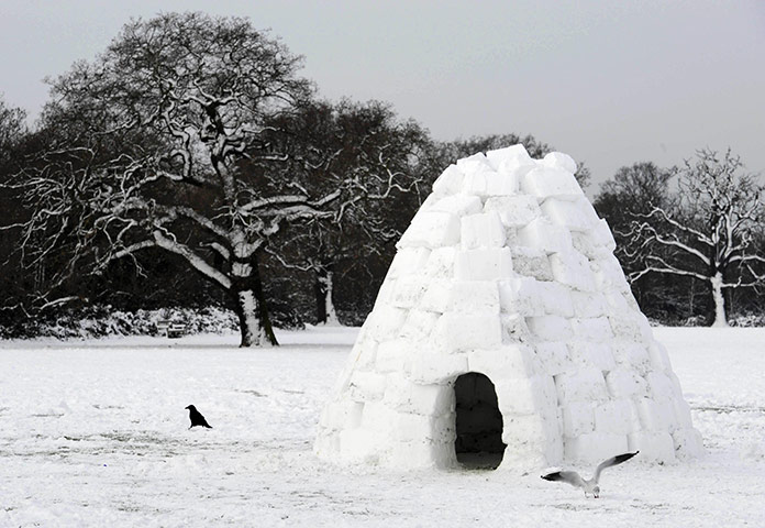 snow continues in uk:  a park in Merton