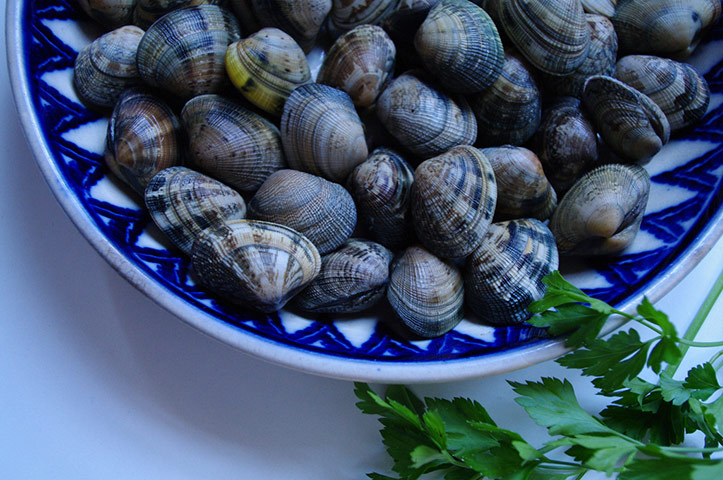 Camera Club : Teleri Williams food photography