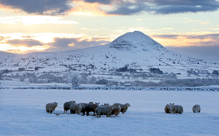 Lunar Eclipse: Sunrise over Slemish mountain in the Braid Valley, Co Antrim