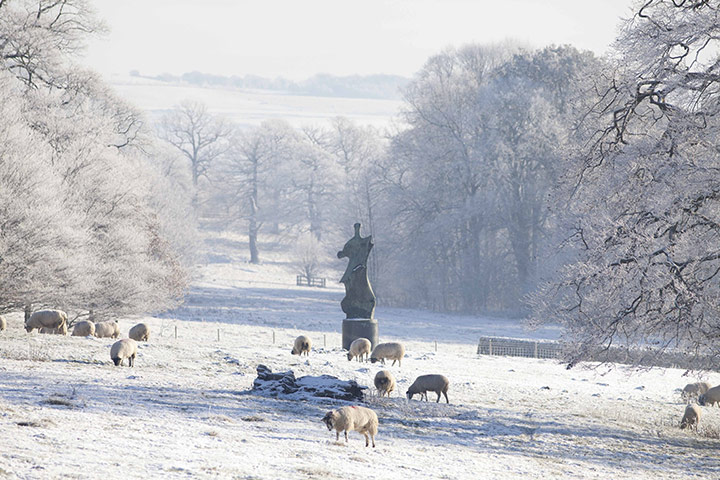 Yorkshire Sculpture Park: Henry Moore, Standing Figure-Knife Edge sculpture