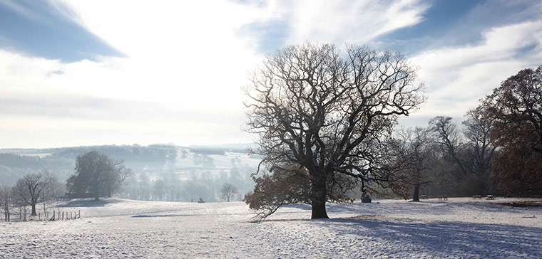 Yorkshire Sculpture Park: Henry Moore bronze sculptures in the Country Park