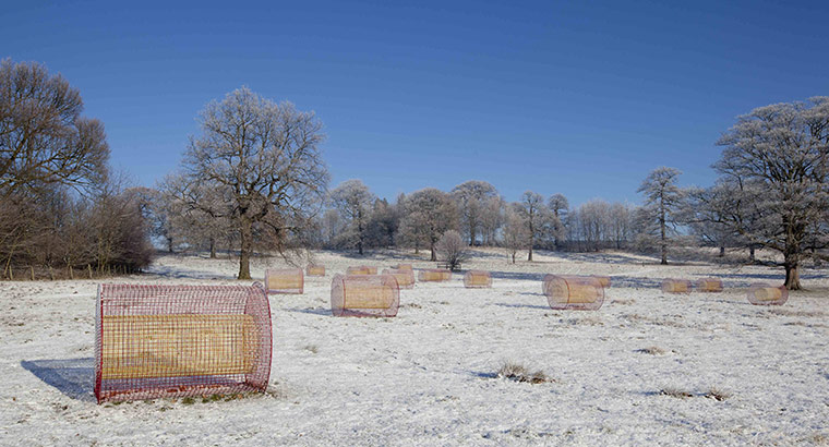 Yorkshire Sculpture Park: Summer Fields scupltures by Helen Escobedo at the Yorkshire Sculpture Park