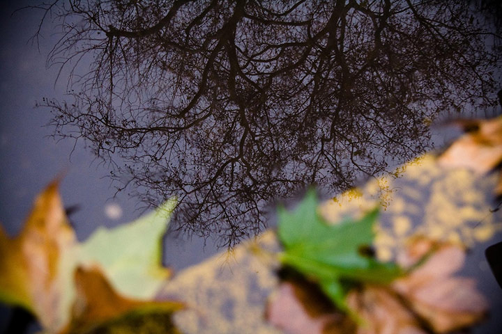 Camera Club: A Review of Trey Wheeler's Portfolio