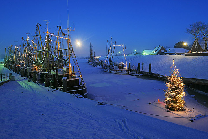 24 hours: Greetsiel, Germany: An illuminated Christmas tree stands on ice
