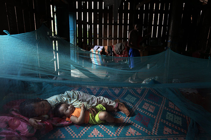 2010 year in MDG: Malariia : WHO Makes Progress Battling Drug Resistant Malaria In Cambodia