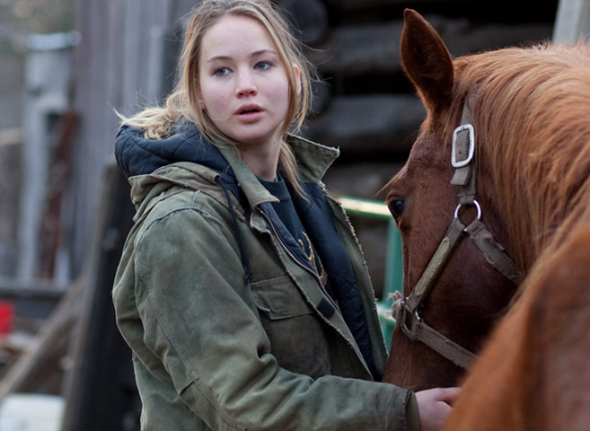 Your 2010 picks:  Winter's Bone