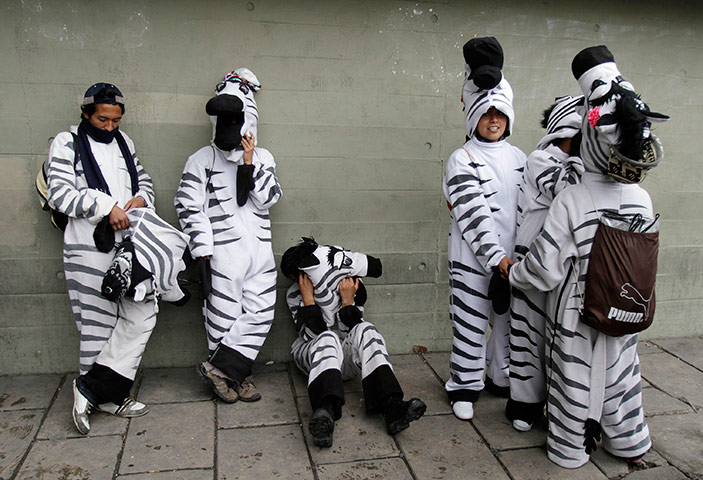 24 hours in pictures: People dressed as zebras rest in the centre of La Paz