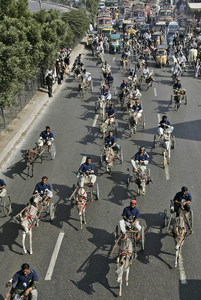 24 hours in pictures: Pakistanis compete in a donkey race in Karachi, Pakistan