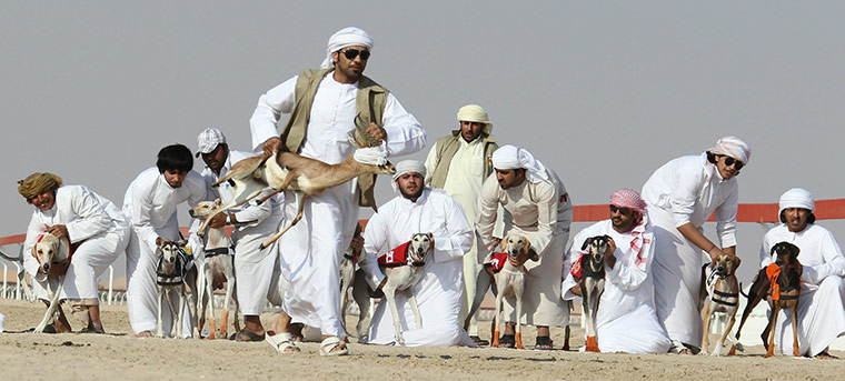 24 hours in pictures: Arab Heritage Saluki Race Festival