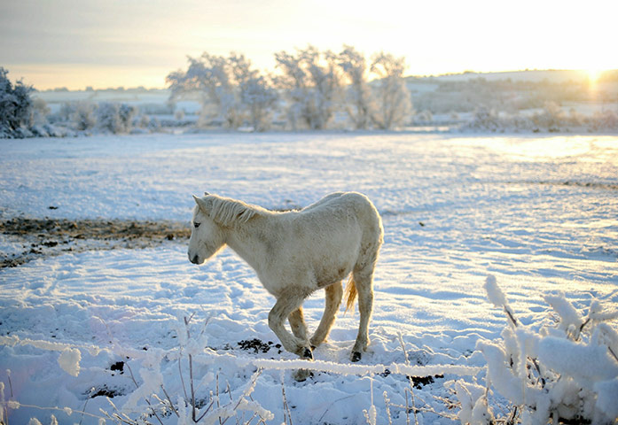 24 hours in pictures: Christmas Day Around The World