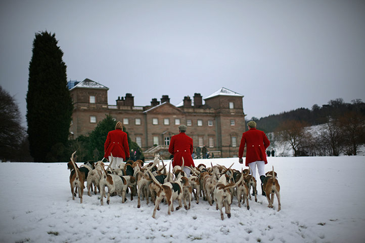 Hunting: the Hagley hunt 