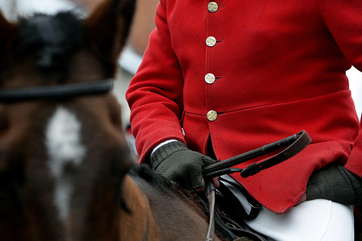 Hunting: the Cheshire hunt 