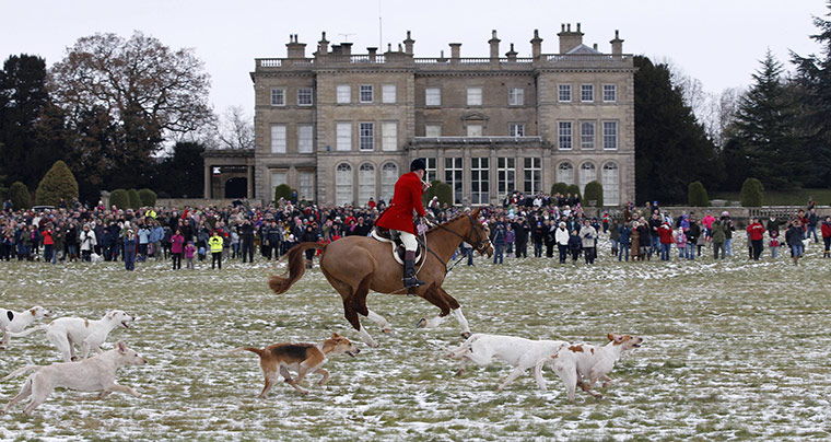 Hunting: the Quorn hunt