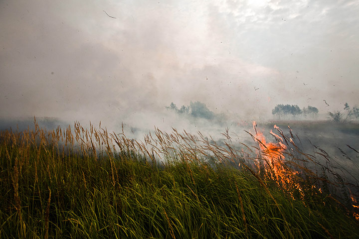 2010 year in environment2: Russian wildfires